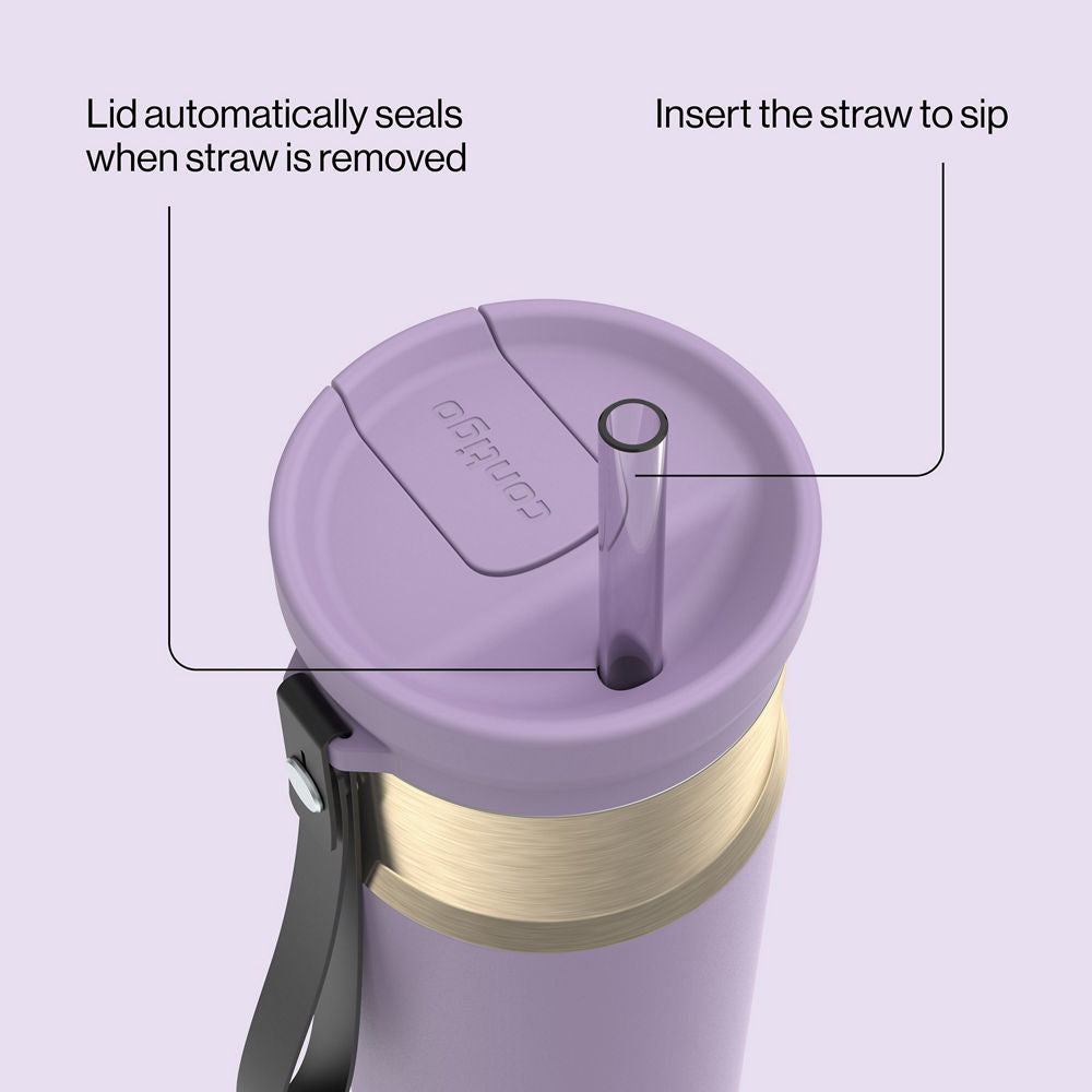 24oz-snapsealtm-bottle-b0 bevt0009_contigo_2231080_snapseal_24oz_straw_purplecarrot_atf4